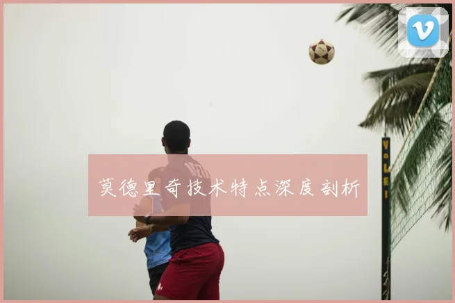 莫德里奇技术特点深度剖析